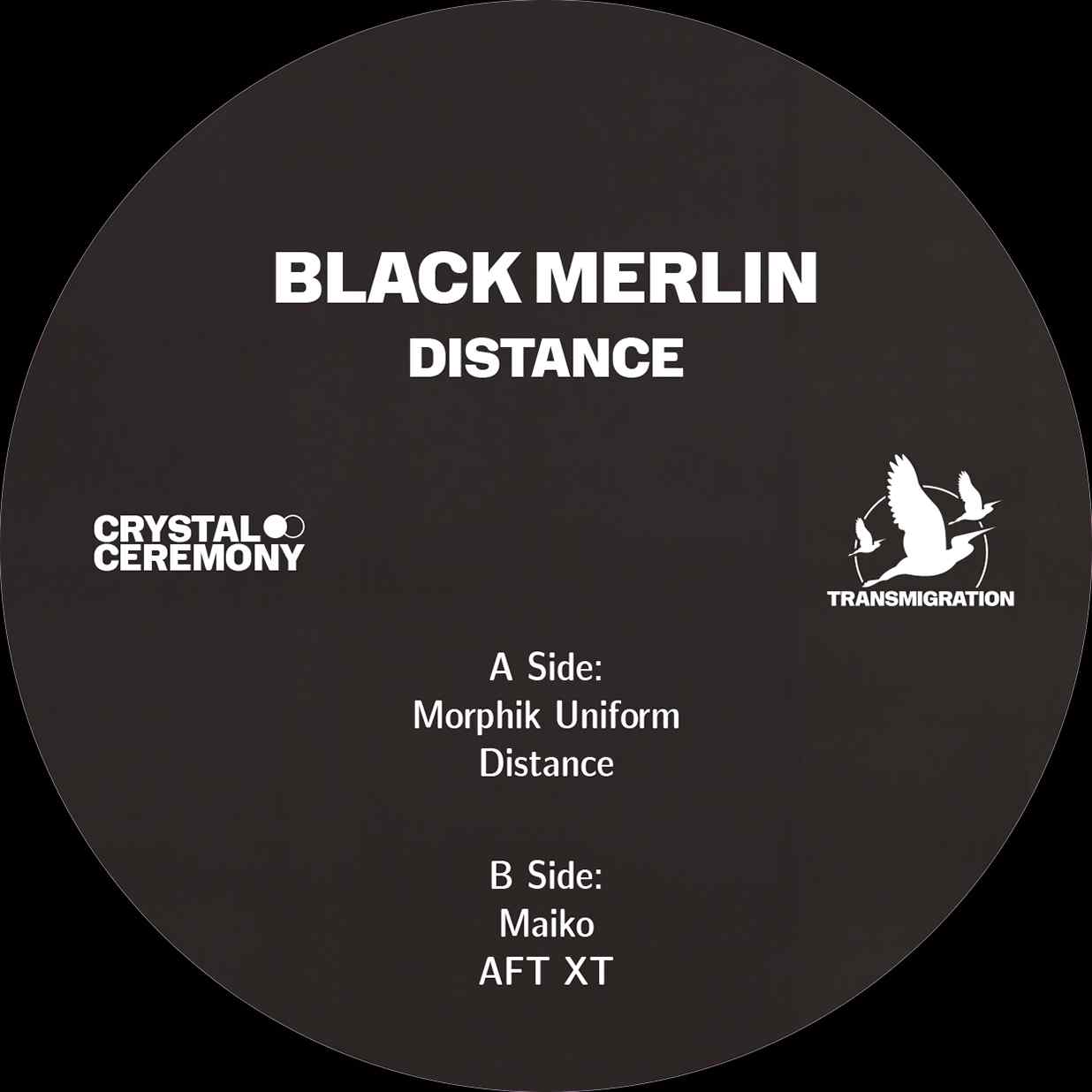 Black Merlin - Image 4